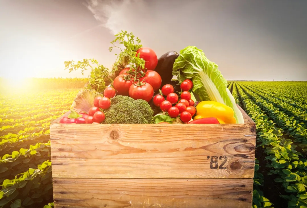 640.webp.jpg 640.webp.jpg